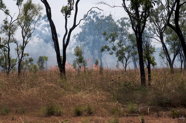 AustraliaAdelaide 10  030